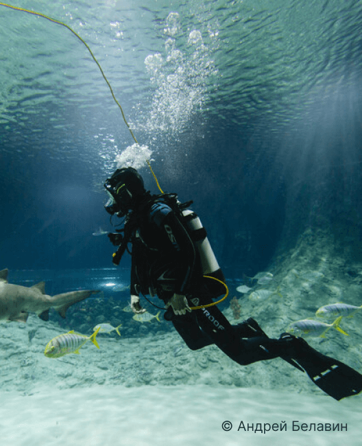 Океанариум «Акватика»