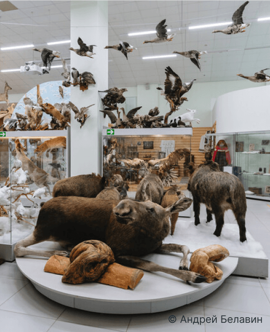 Русскинской музей природы и человека